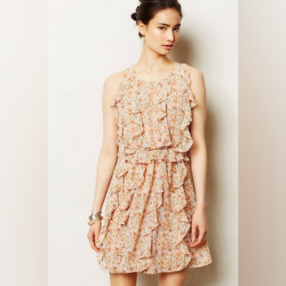 Anthropologie Senna Dress Sz 4 Ruffled Lightweight Floral By Sachin & Babi